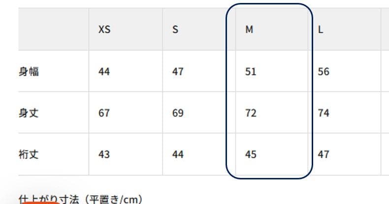 【10回ほど使用】Patagonia M メンズ 名作 リッジ・フロー・シャツ