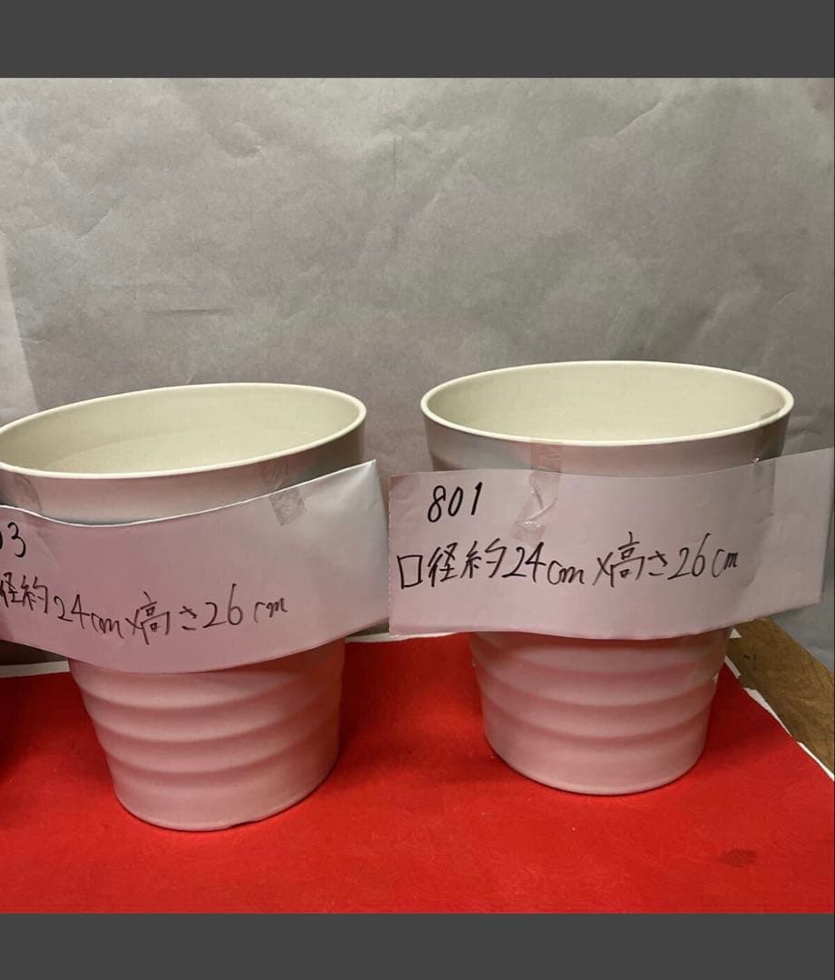 796805 胡蝶蘭が入っていた　植木鉢　プラスチック製　軽い　10個