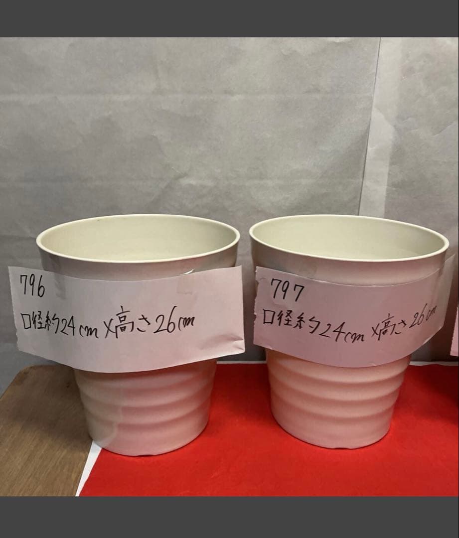 796805 胡蝶蘭が入っていた　植木鉢　プラスチック製　軽い　10個