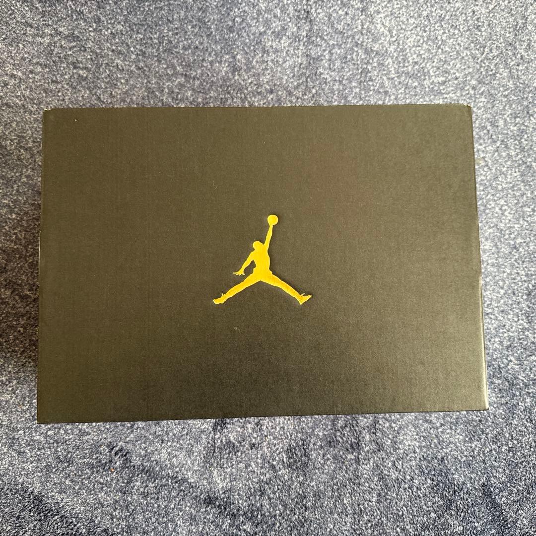 Nike Air Jordan 1 Low Golf “Shadow”