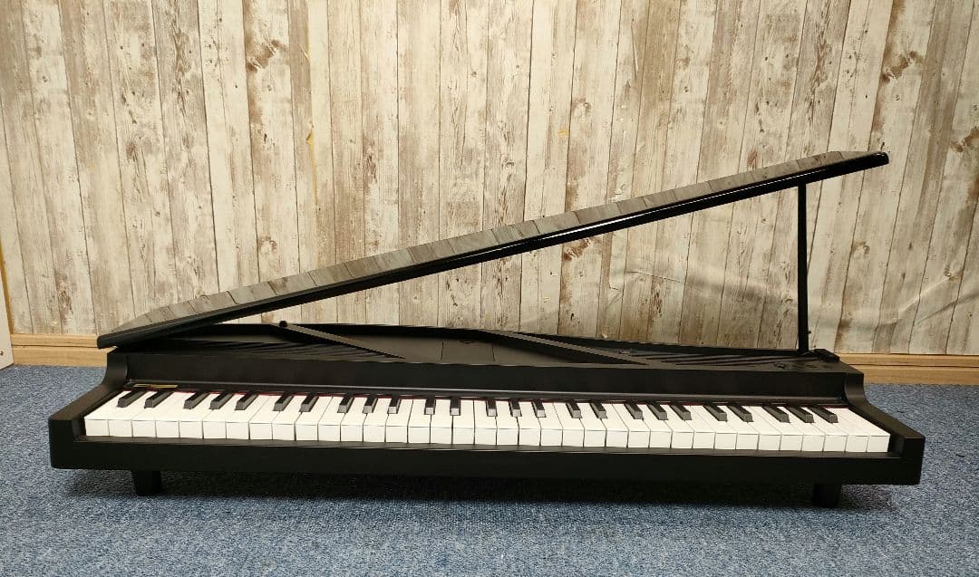 【良品】KORG microPIANO 61鍵 AC付 コルグ マイクロピアノ