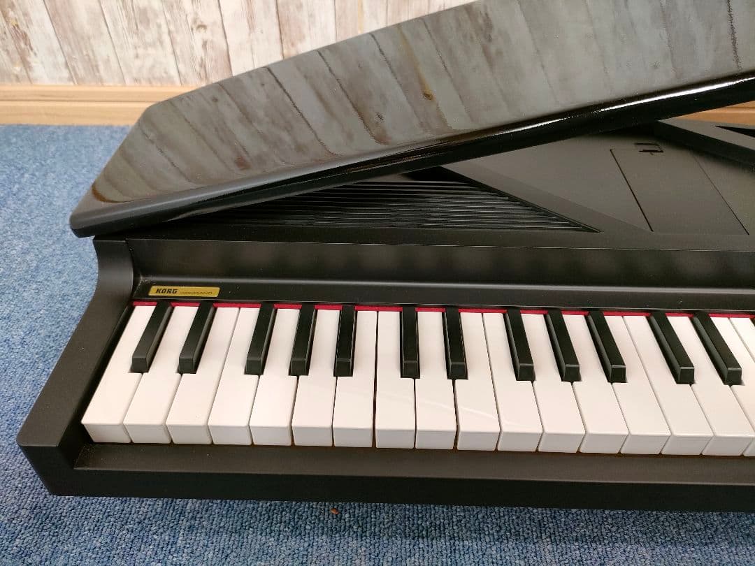 【良品】KORG microPIANO 61鍵 AC付 コルグ マイクロピアノ