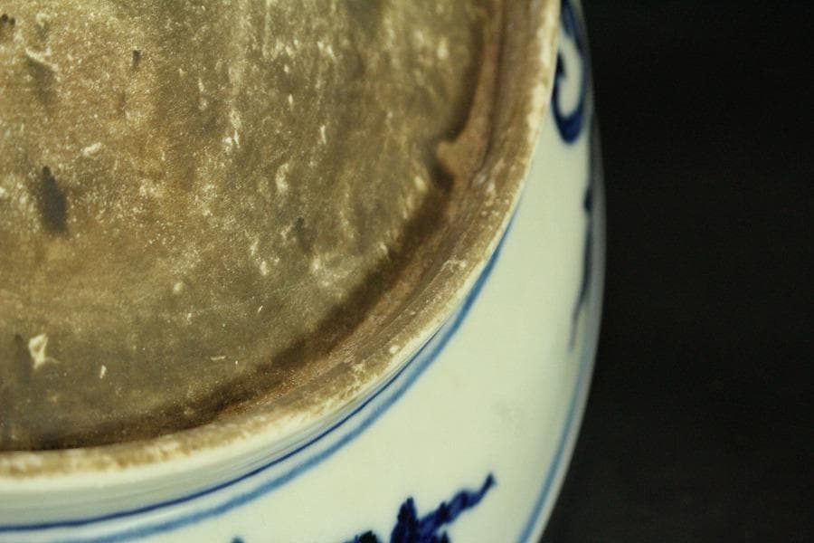 中国美術 染付 枝葉紋 皿 φ27.5cm(ZE791)