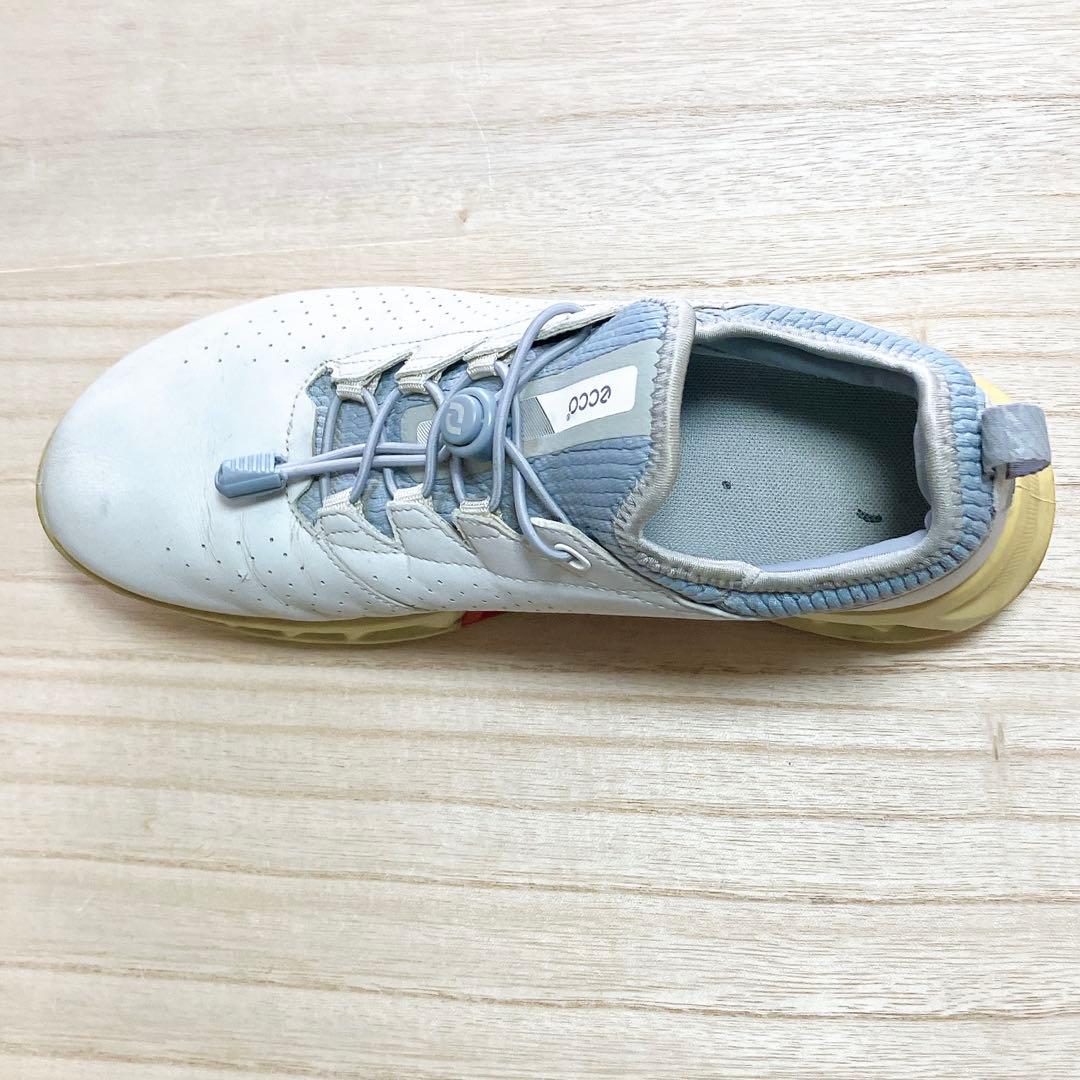ECCO BIOM C4 ゴアテックス ゴルフシューズ ホワイト 26cm