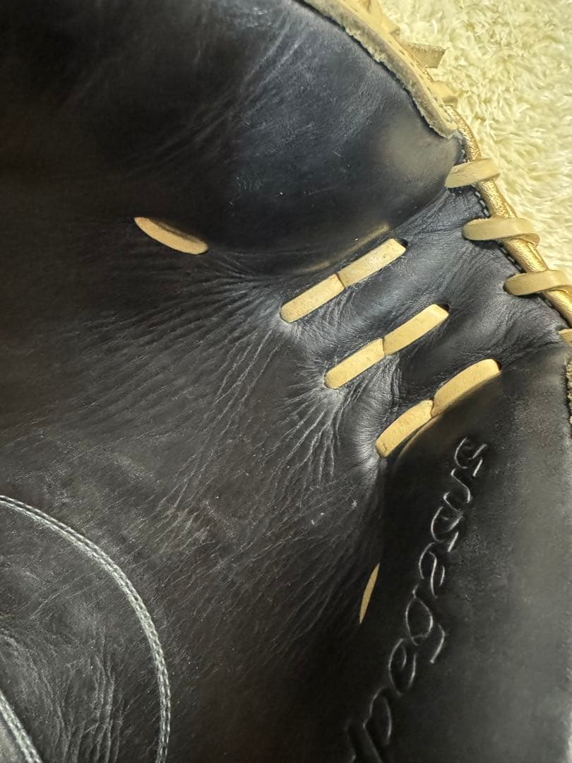 ワールドペガサス Worldpegasus 軟式 キャッチャーミット