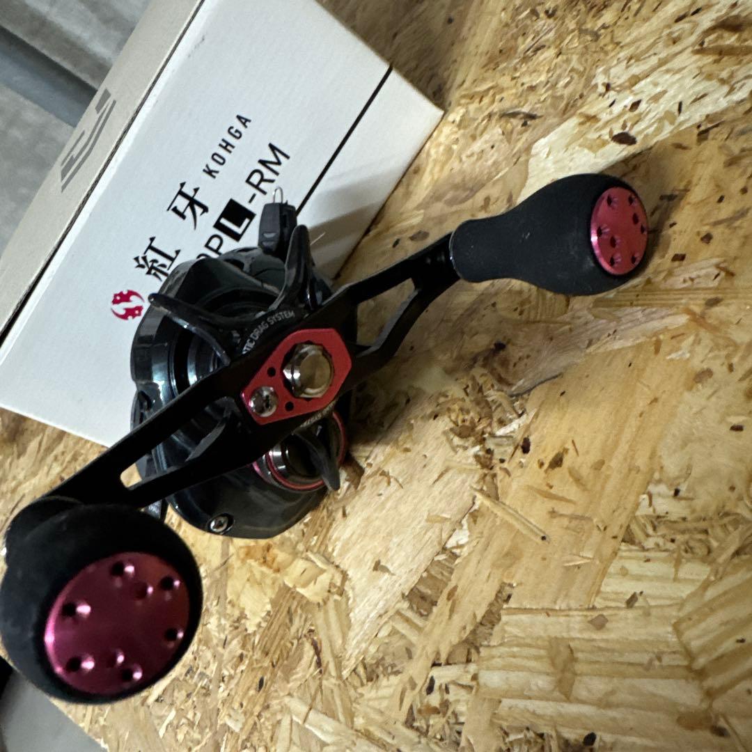 Daiwa IC 100PL-RM ベイトリール