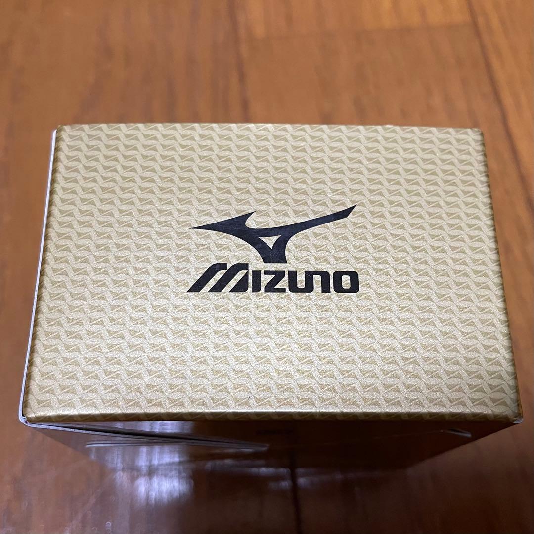 Mizuno Pro レザーケアスライム レザーケアクリーム 2点セット 廃盤品