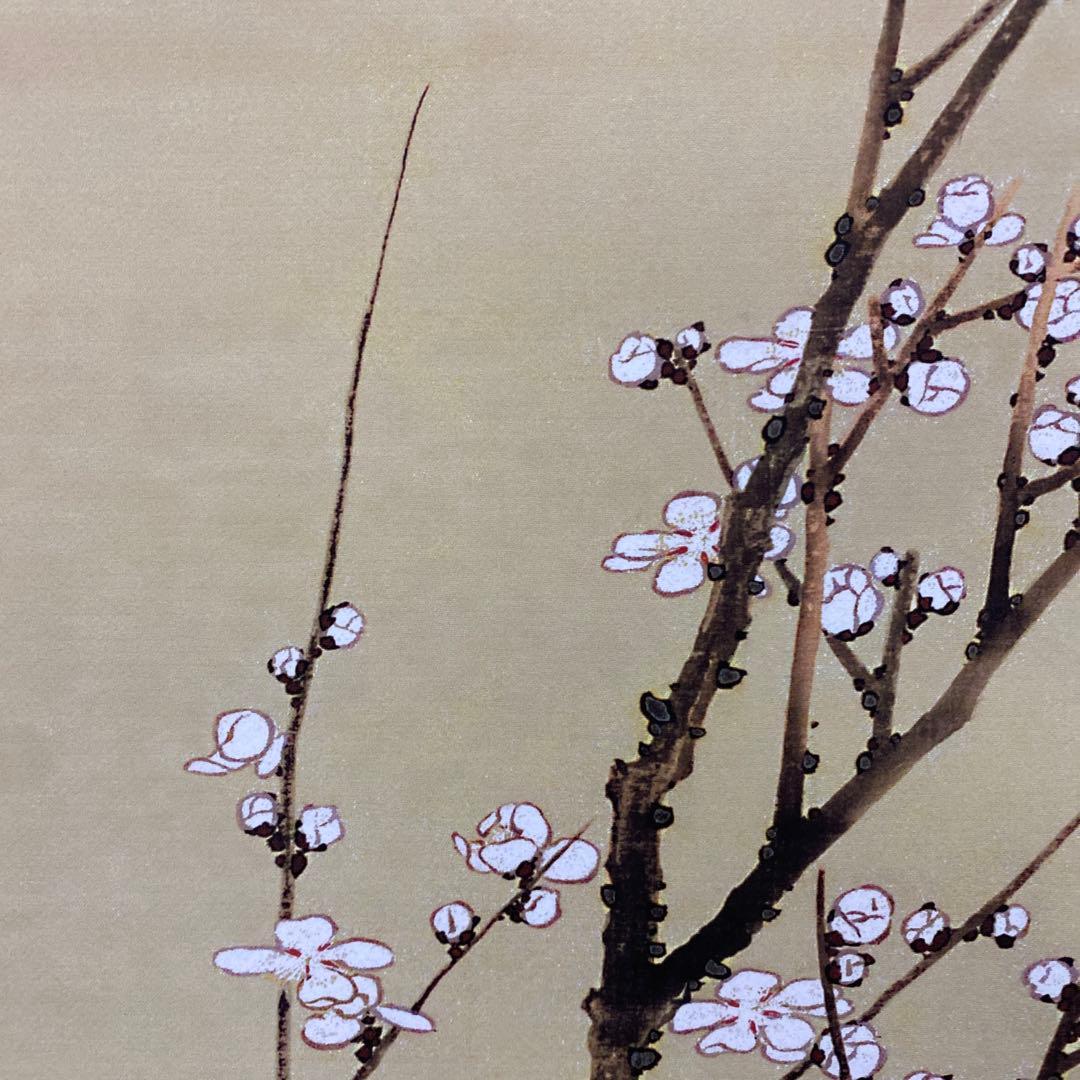 美品 掛け軸 葛飾北斎筆 白梅図 名品 縁起物 ネルソンアトキンス美術館