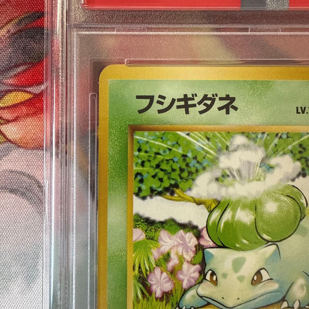 【PSA8/ARS9】旧裏 フシギダネ エリカのフシギバナ マーク無し ポケカ