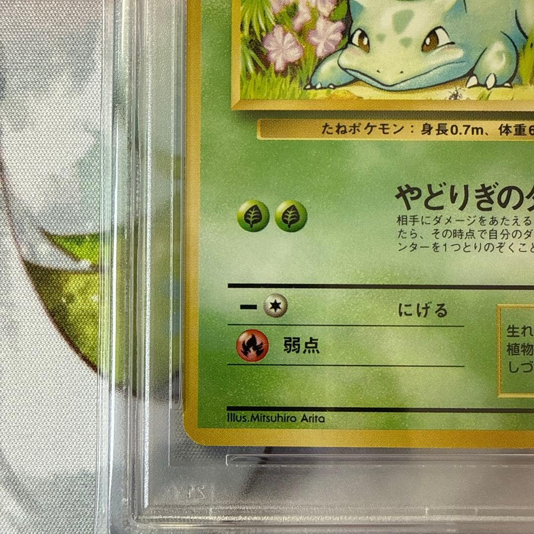 【PSA8/ARS9】旧裏 フシギダネ エリカのフシギバナ マーク無し ポケカ