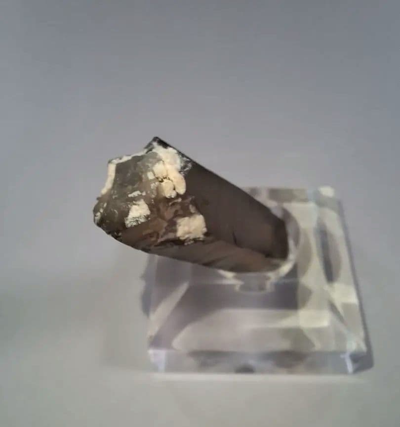 【貴重】煙水晶 左ドフィーネ式双晶 鳥取県 鉱石 原石 国産