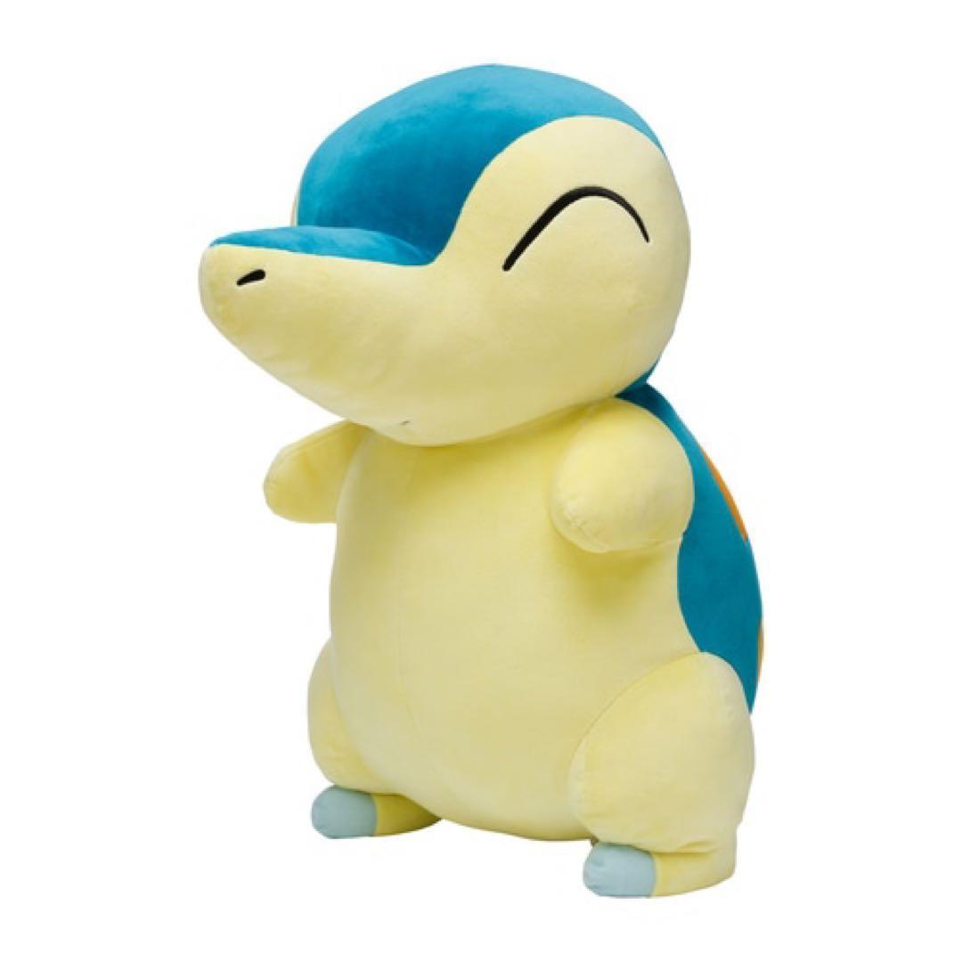等身大ヒノアラシ　ポケモンセンター限定