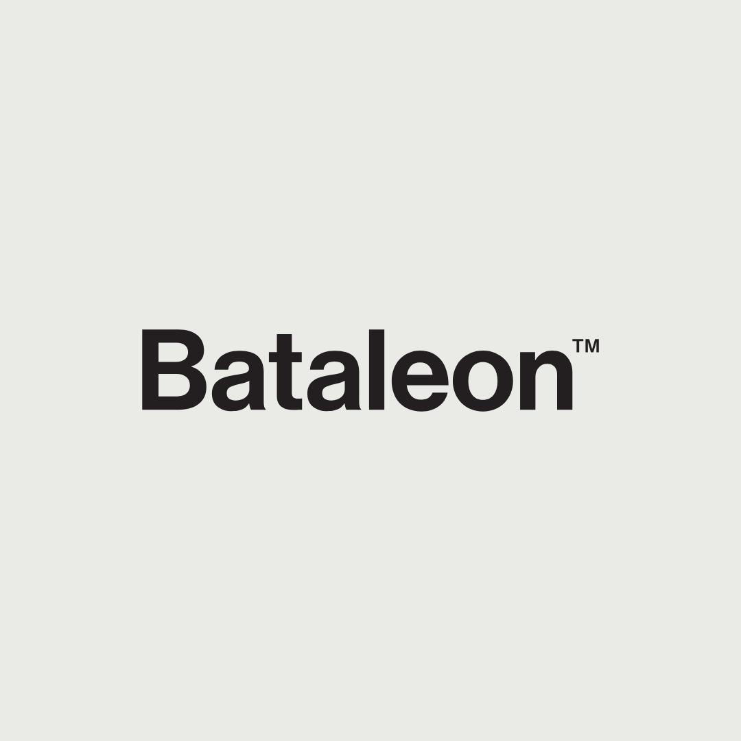 Bataleon CHASER 149CM 日本限定 新品 バタレオン 149