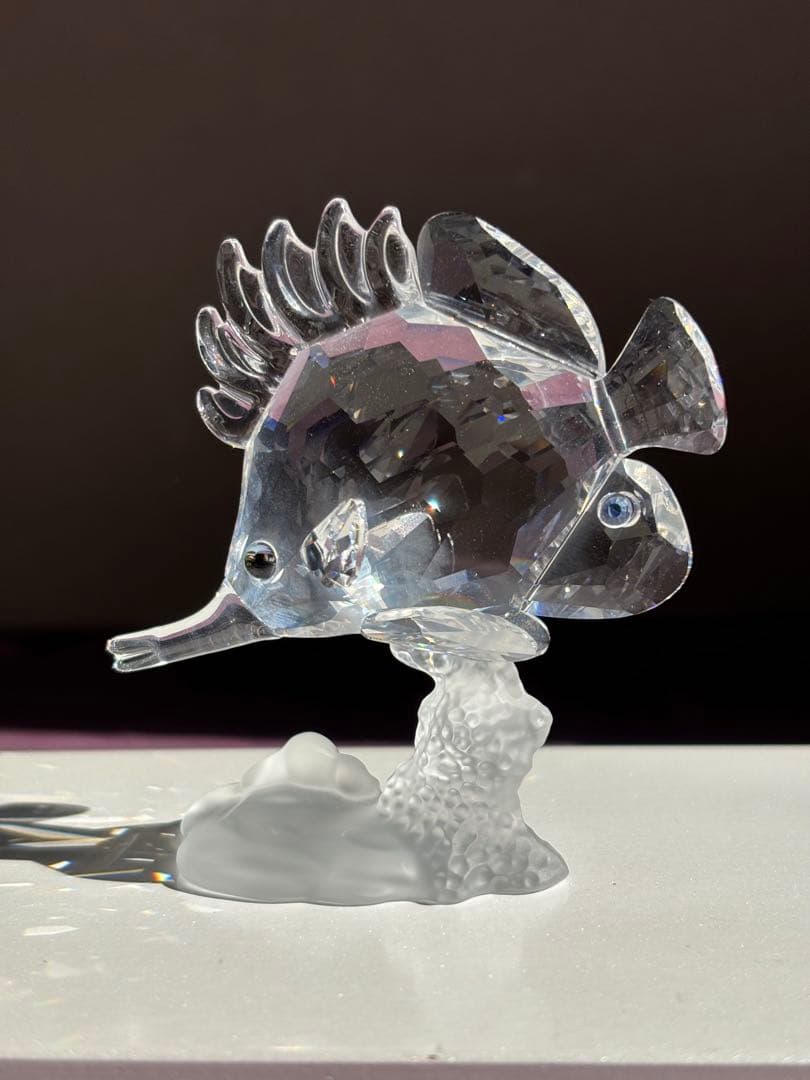 未使用品☆スワロフスキー　クリスタル ガラス　フエヤッコダイ　SWAROVSKI