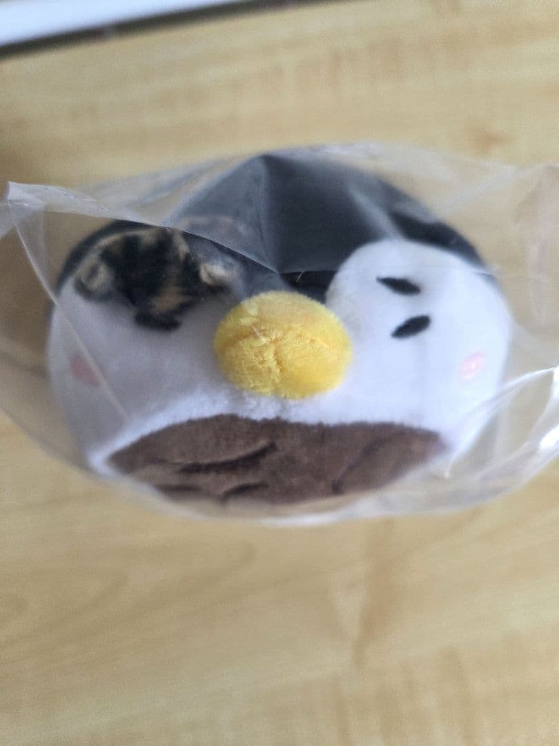 【新品・未使用】2PM ジュノ イップニちゃん（20cm）ペンペン衣装セット