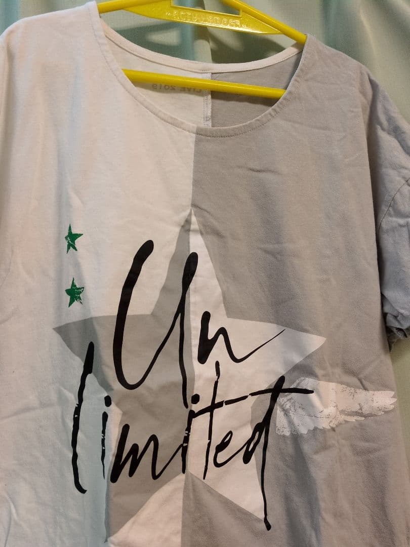 浦島坂田船 Tシャツ　うらたぬき　SENRA 法被　ロンT　センラ KANGOL