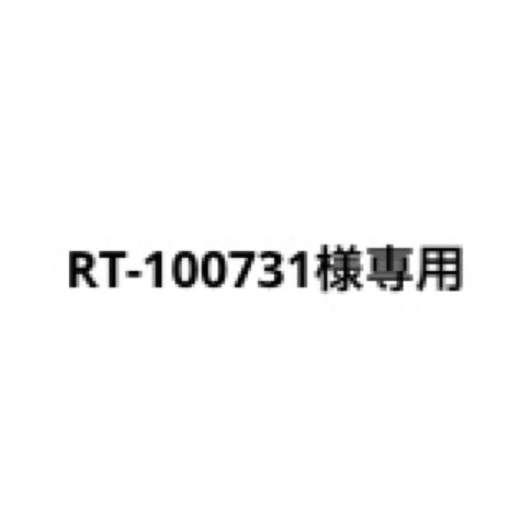 RT-100731ページ