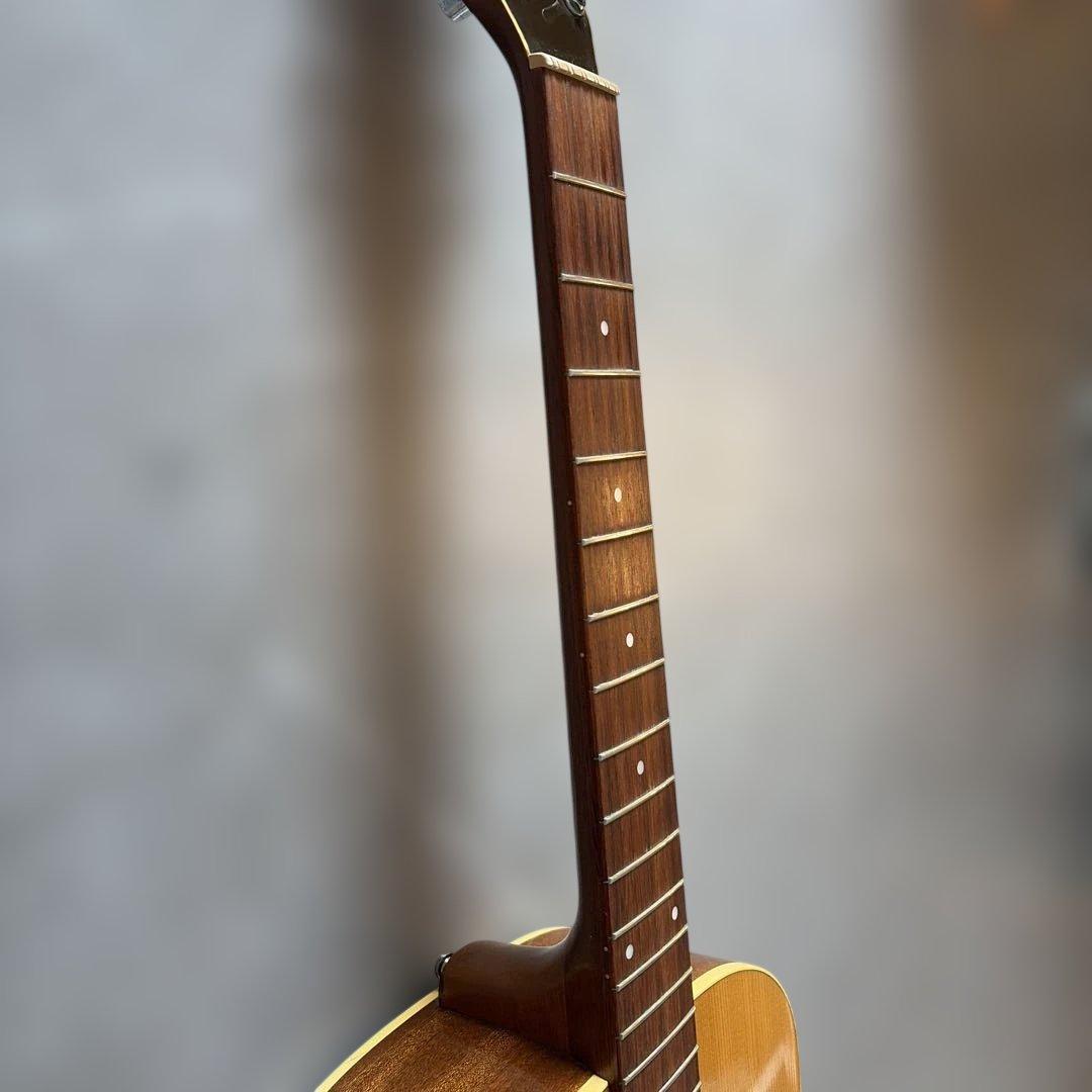 12弦ギター カナダ シーガル Seagull Guitars