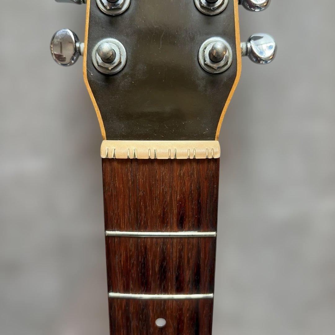 12弦ギター カナダ シーガル Seagull Guitars