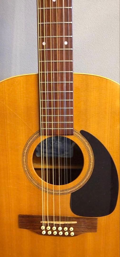 12弦ギター カナダ シーガル Seagull Guitars