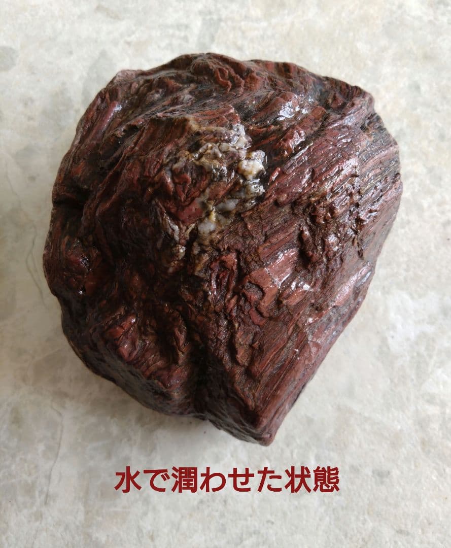 表情がいいね、石ころ♪㉓　石　石ころ　天然石　自然石　水石　鑑賞石　珪化木