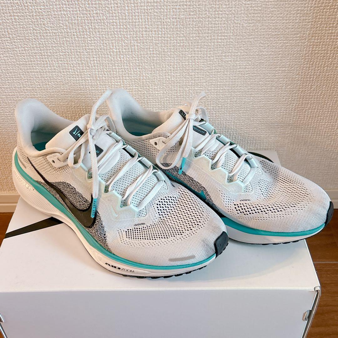 NIKE Pegasus41 ナイキ ペガサス41 27㎝