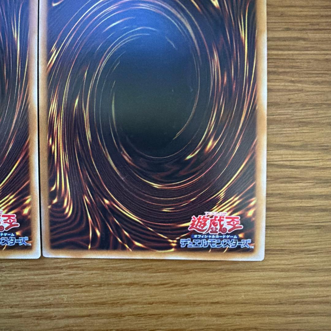 The Fallen&The Virtuous、聖痕喰らいし竜プリシク
