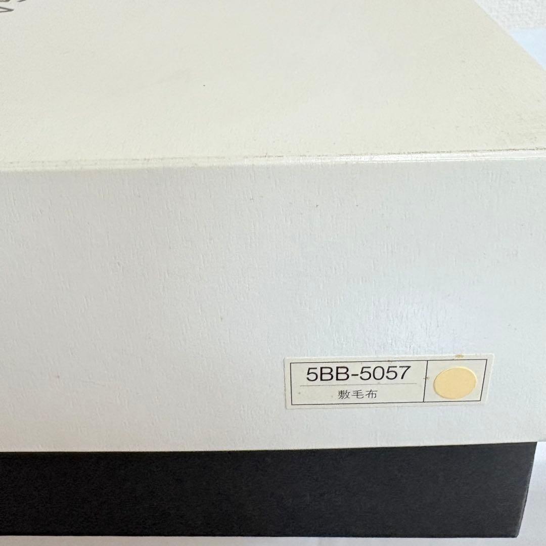 BALENCIAGA バレンシアガ　文字ロゴ総柄　敷き毛布　希少品