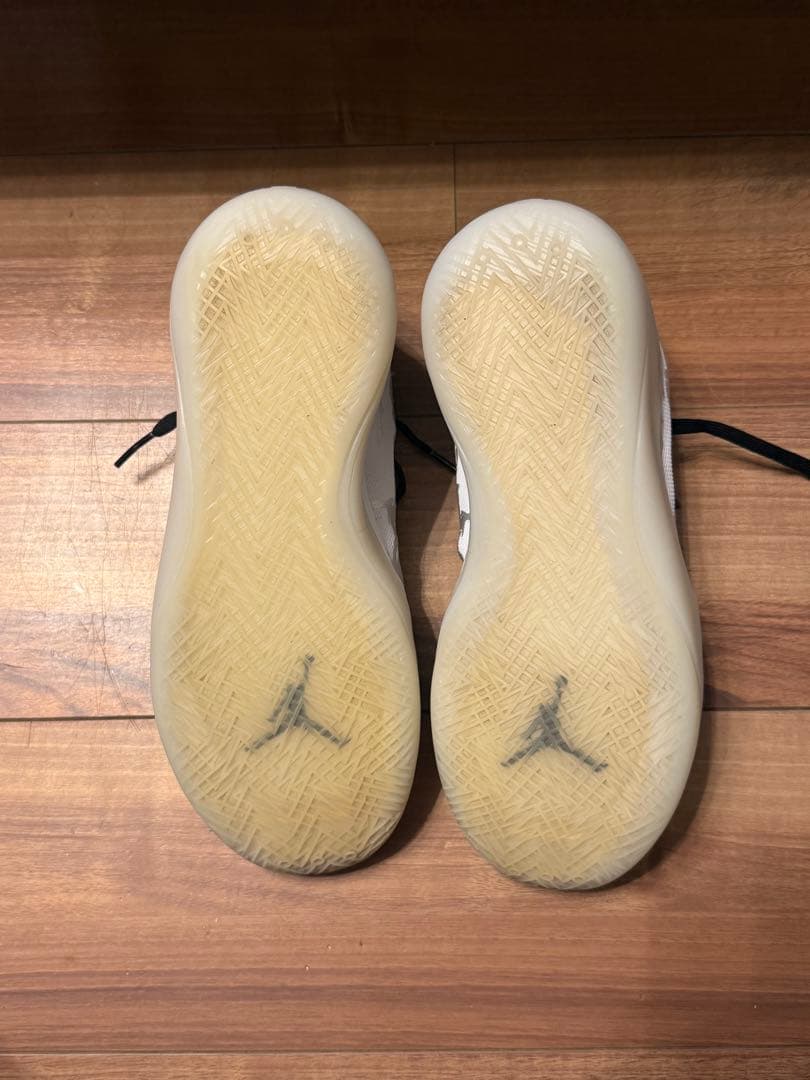 NIKE AIR JORDAN XXXIX PF【28.5cm】