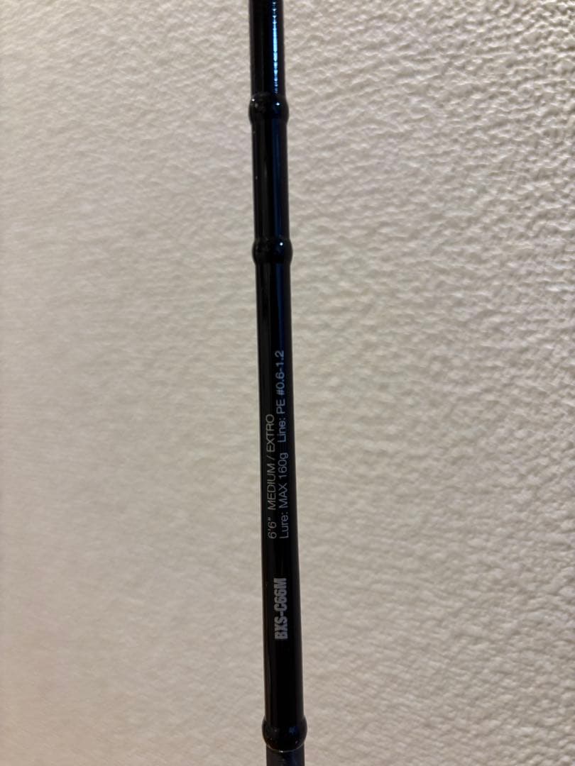 ビンビンスティック　エクストロ　BXS-C66M