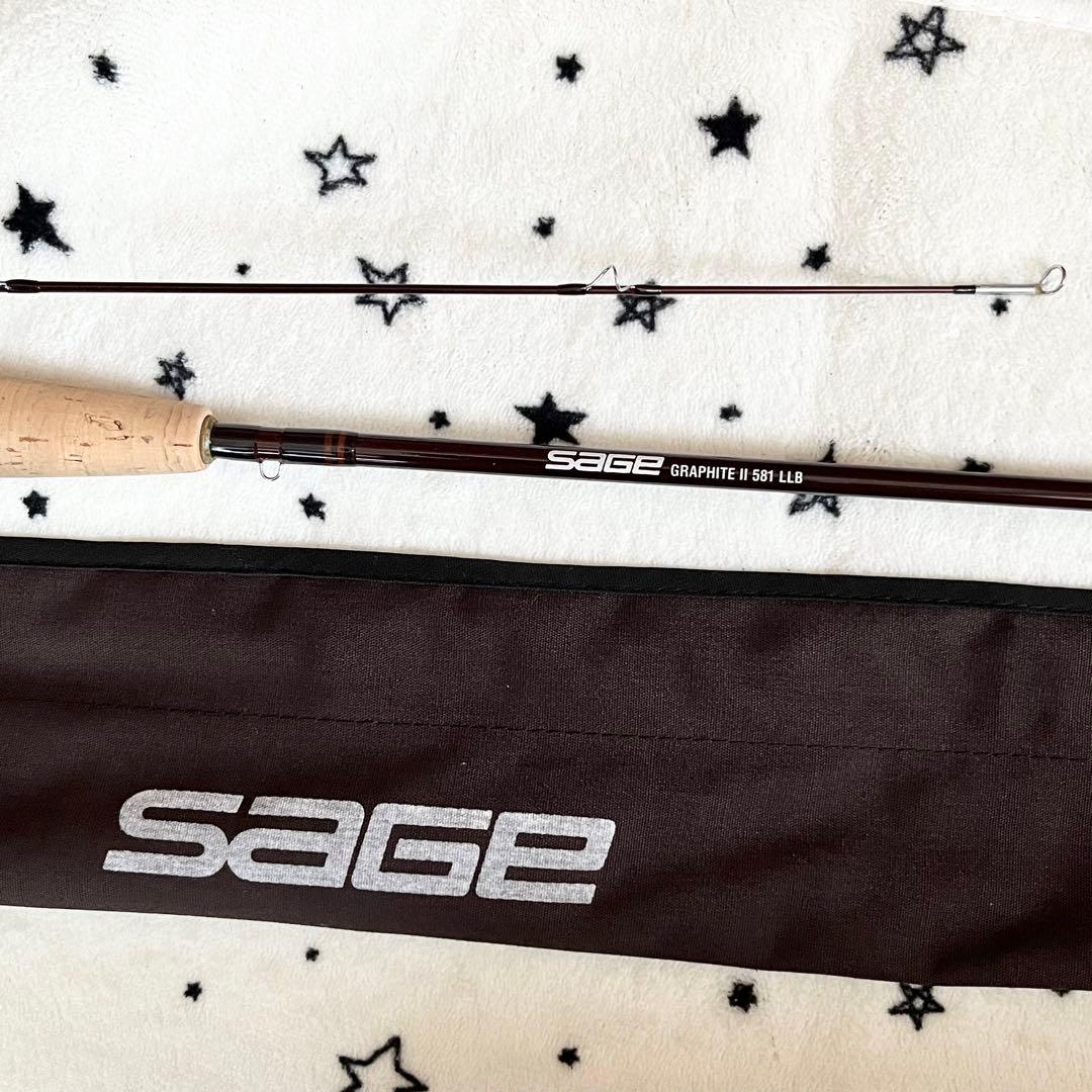 本日限定値下げ！SAGE セージ GRAPHITE Ⅱ 581 LLB ロッド