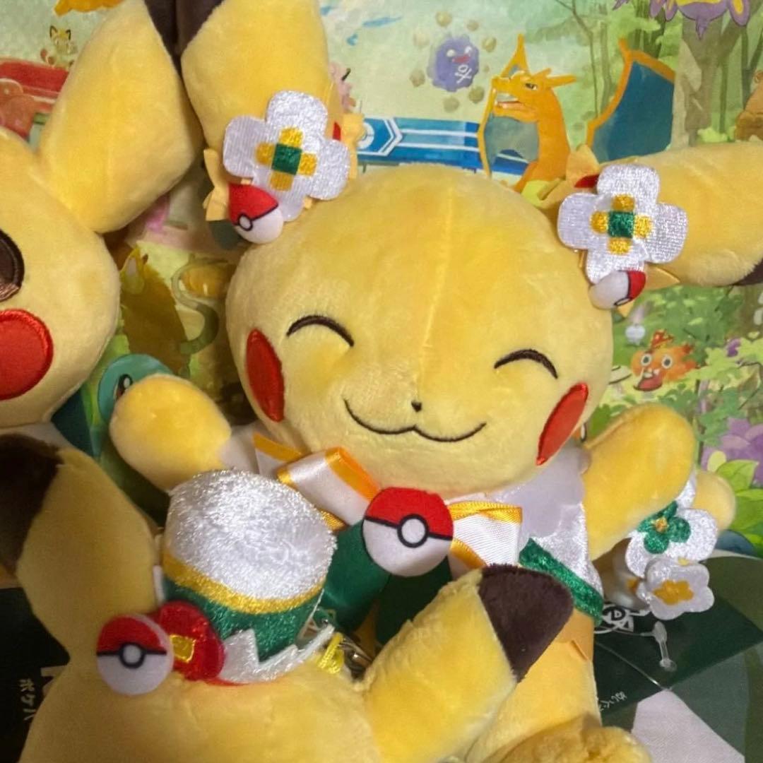 ポケパーク　カントー　限定　ピカチュウ　ぬいぐるみ