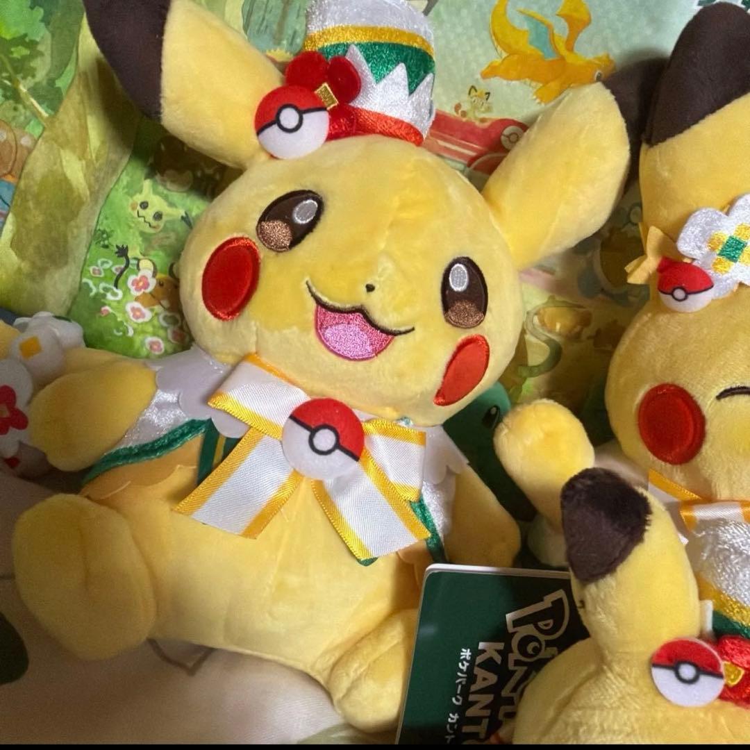 ポケパーク　カントー　限定　ピカチュウ　ぬいぐるみ