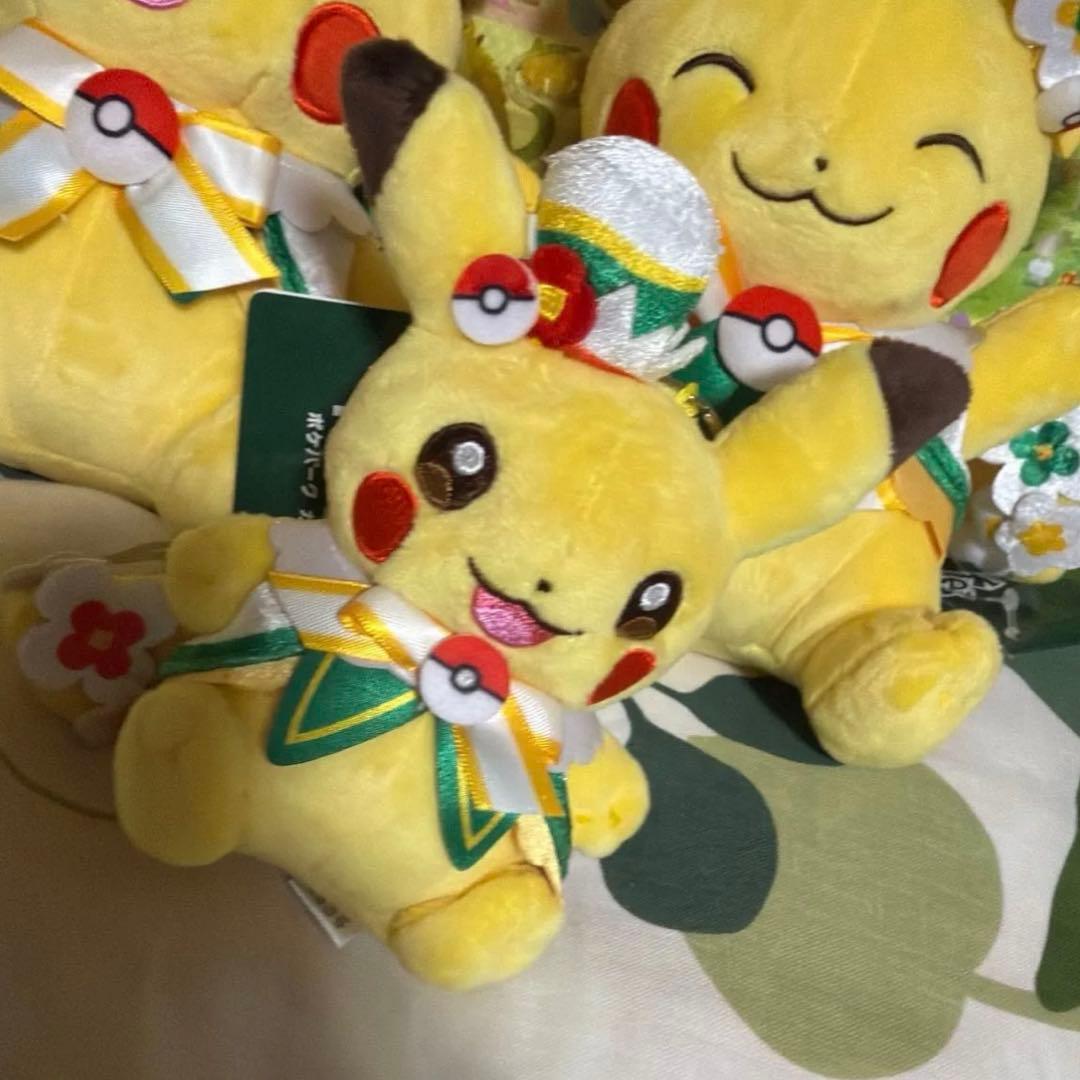 ポケパーク　カントー　限定　ピカチュウ　ぬいぐるみ