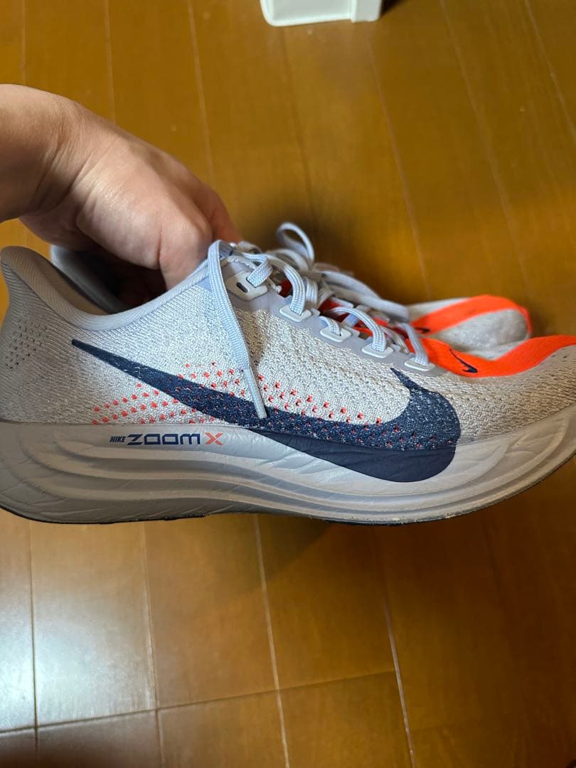 Nike ペガサスプラス 25.5 箱あり