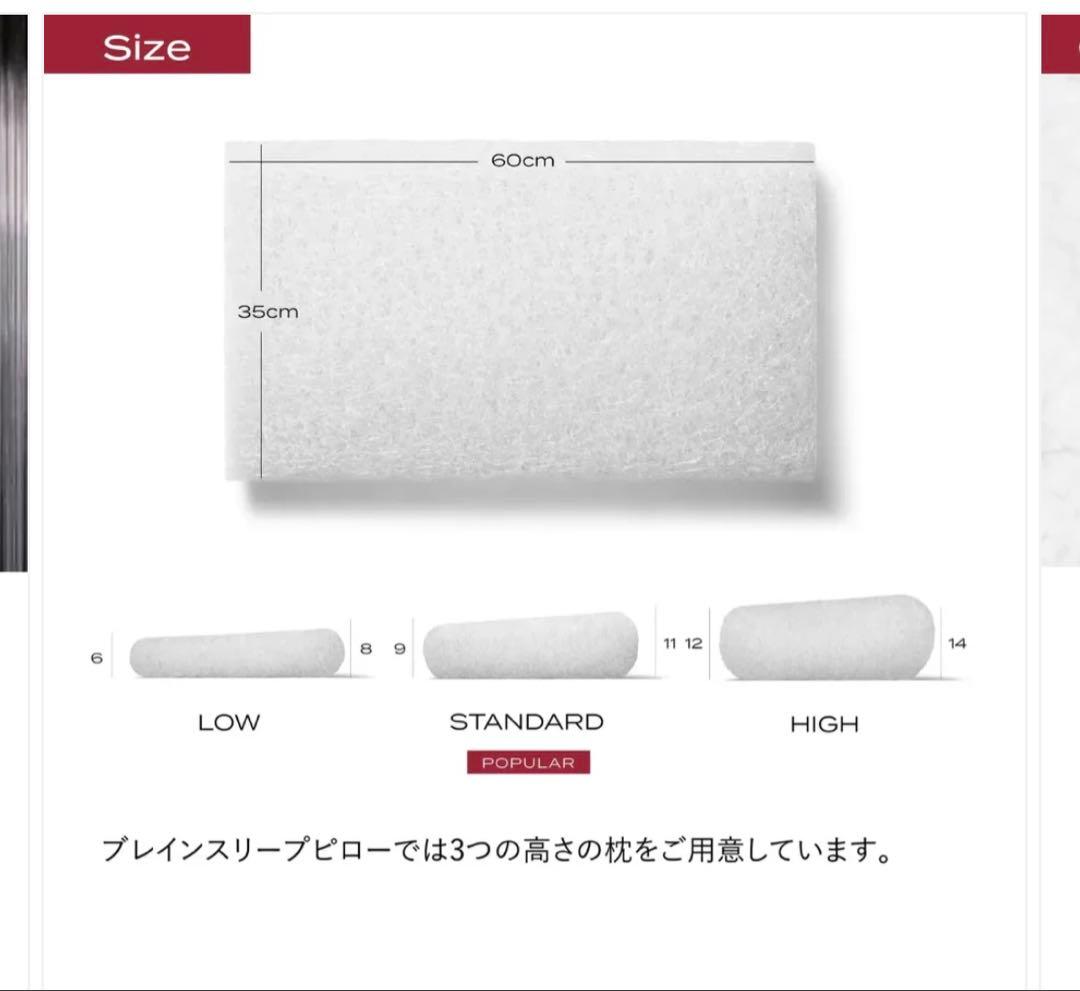 【簡易包装】ブレインスリープ ピロー 枕 収納バッグ付き　LOW