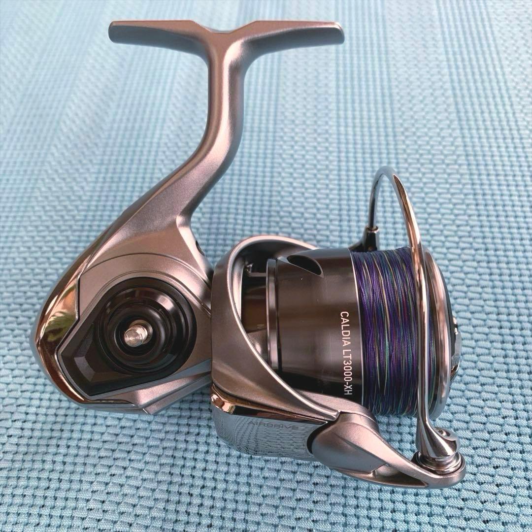 リール DAIWA 25CALDIA LT3000-XH