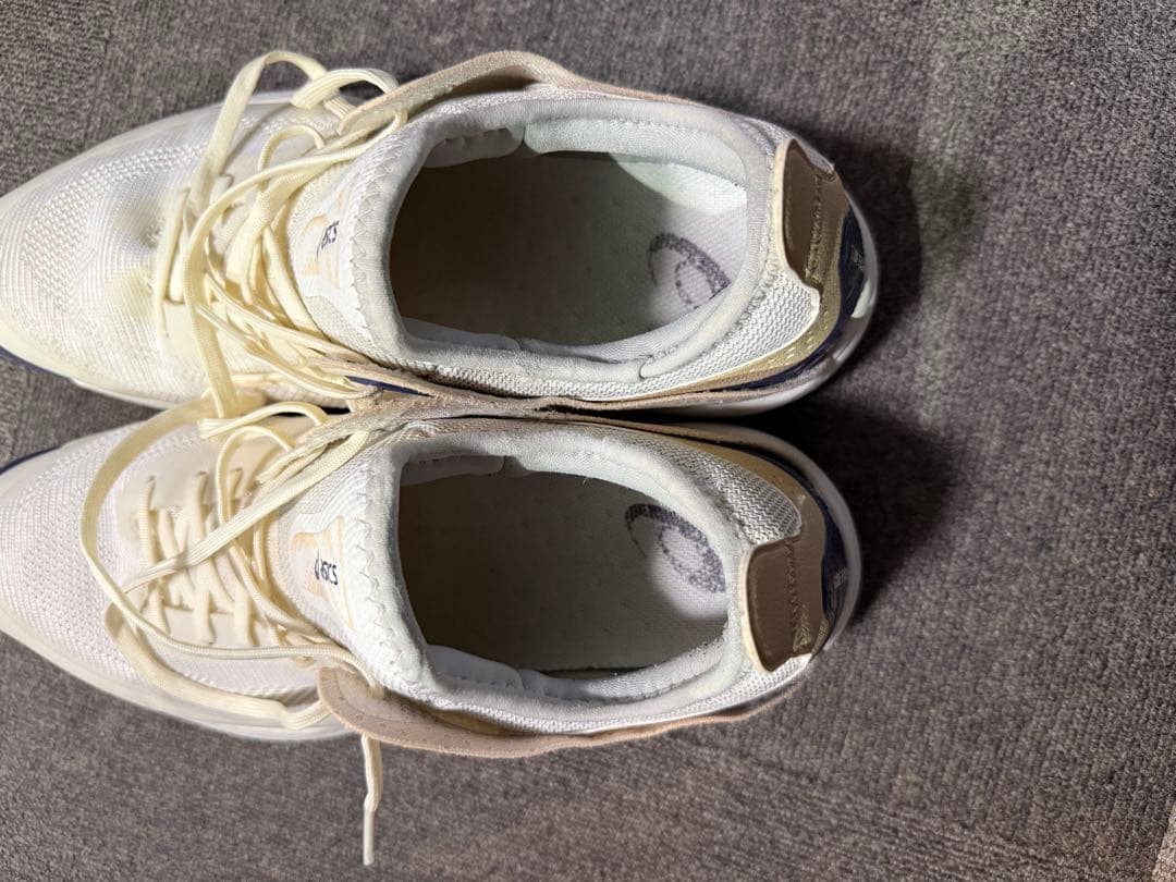 asics バスケットボールシューズ 28.5cm りんご
