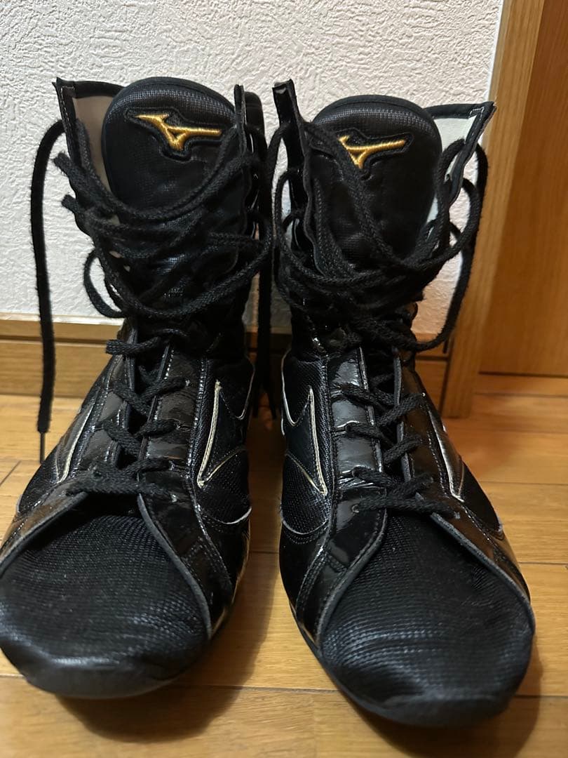 フィニッシャーMID(ボクシング)