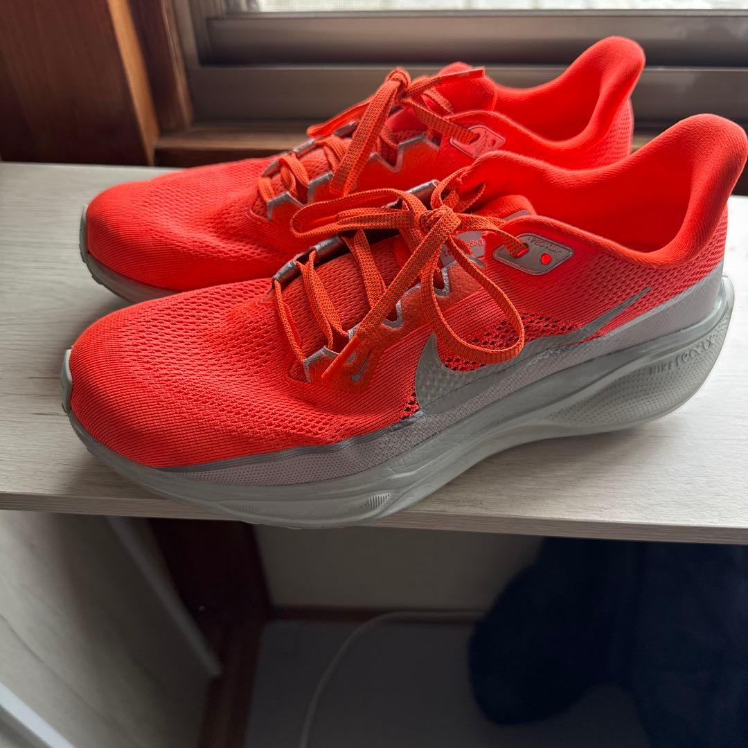 NIKE ペガサス41 26.5cm
