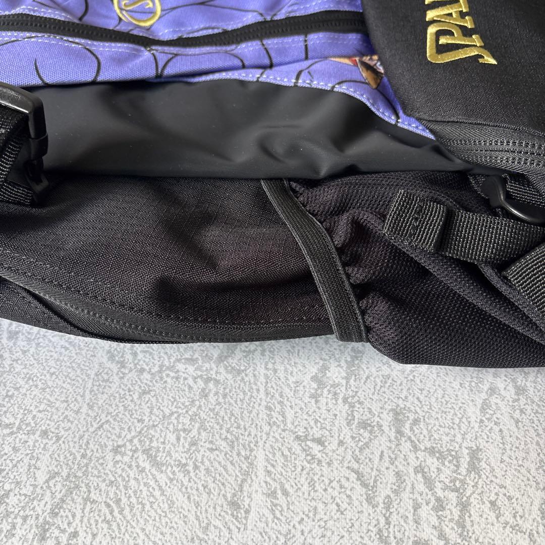未使用タグ付き：ワンピース×SPALDING バスケットボール バックパック