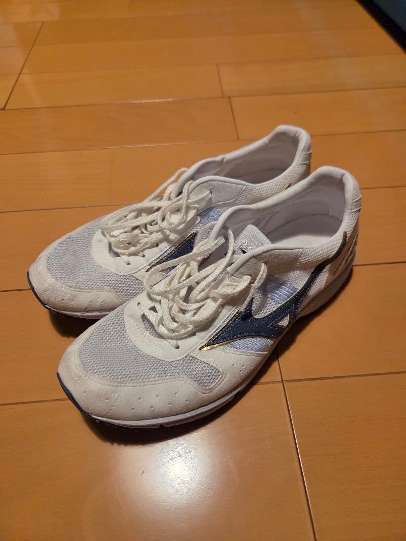 MIZUNO ウェーブエンペラージャパン 25.0cm