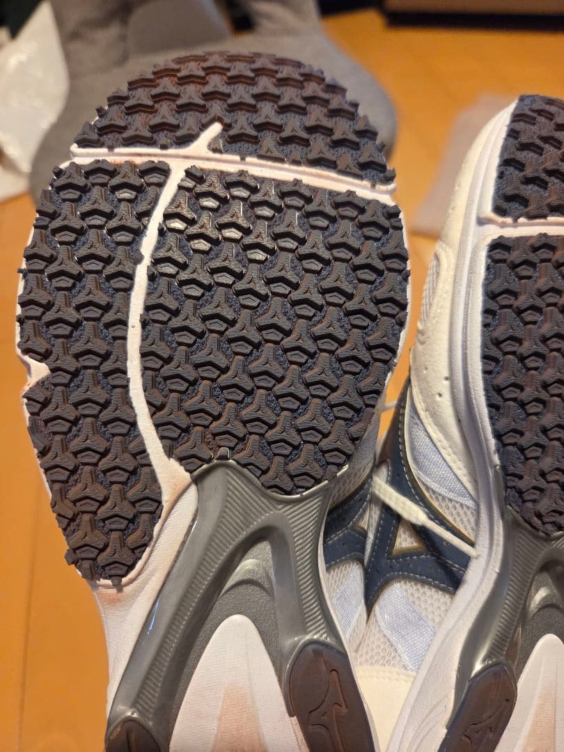 MIZUNO ウェーブエンペラージャパン 25.0cm