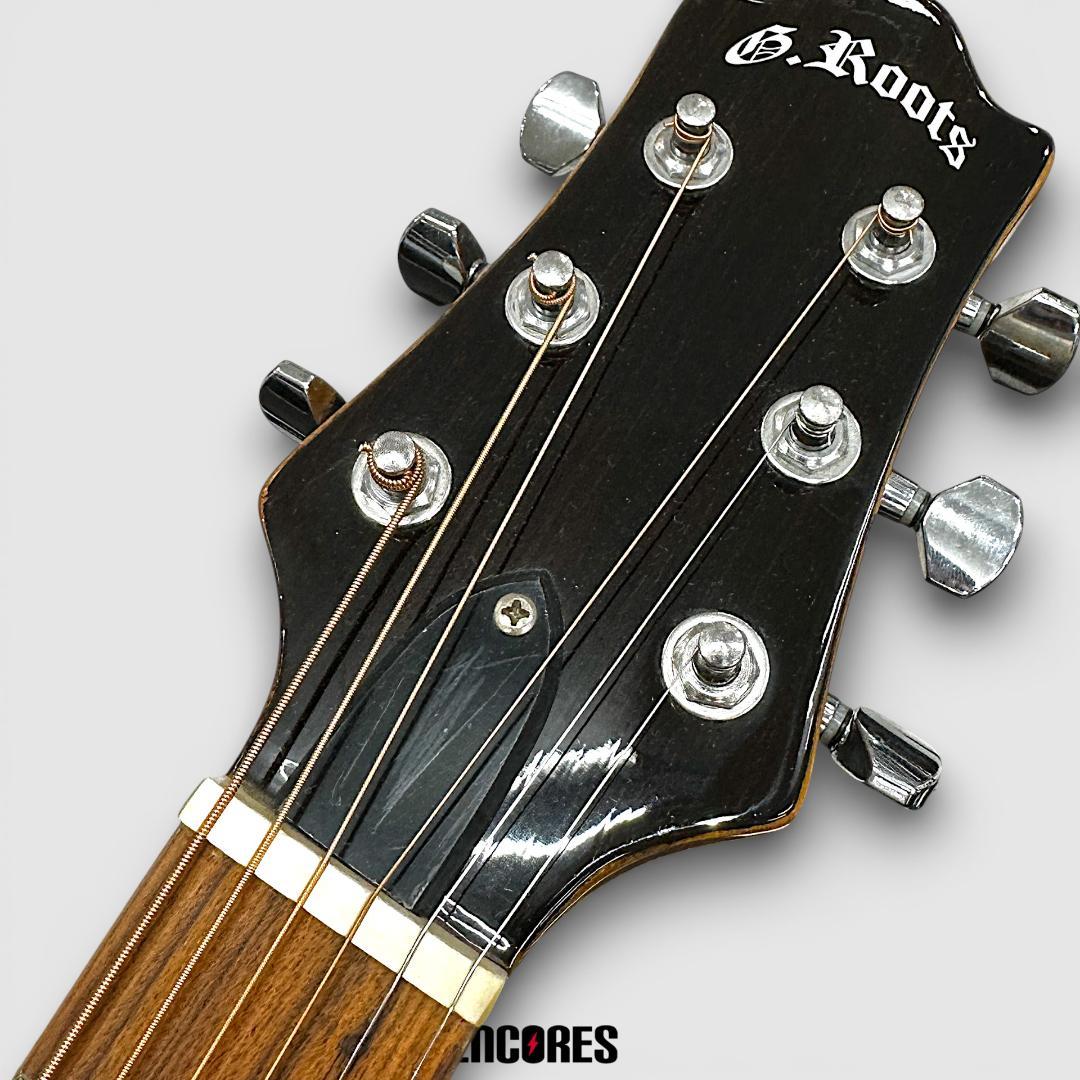 GrassRoots G-AC-50S エレアコ