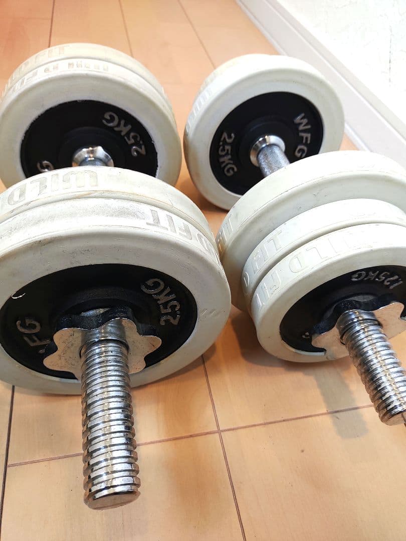 WFG ダンベルプレート 2.5kg×6枚 1.25kg×4枚　シャフト