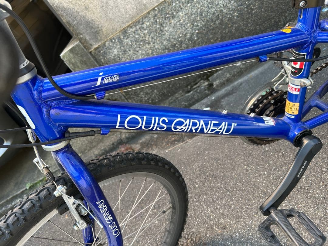 ⭐️セール本日限定　LOUIS GARNEAU LGS-J22キッズ22インチ