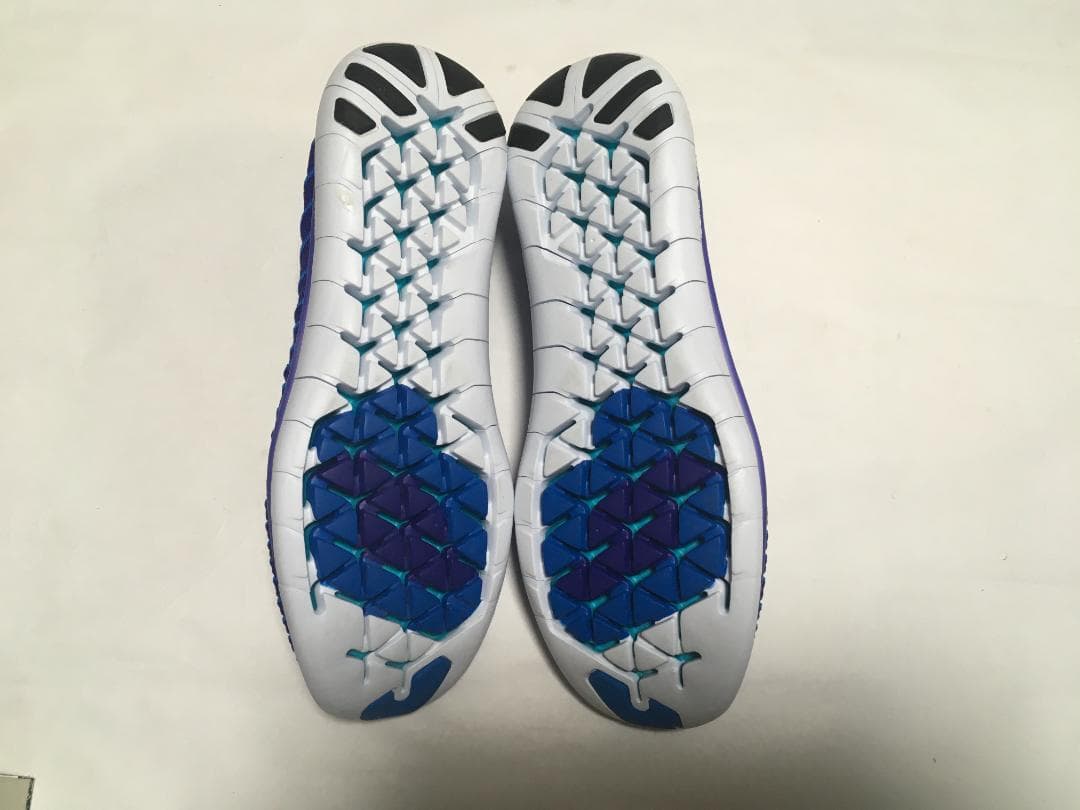 NIKE フリー　フライニット　29㎝