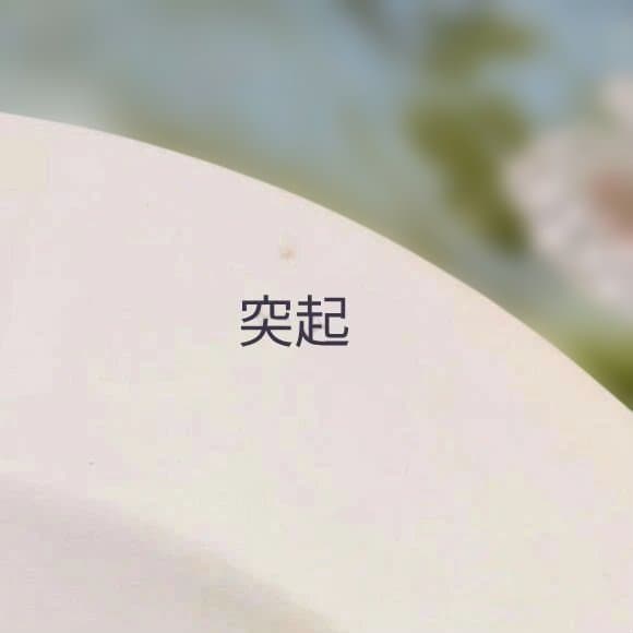 ビレロイ&ボッホ　レア品❗️Verona(ヴェローナ)　パスタ皿　未使用美品✨️