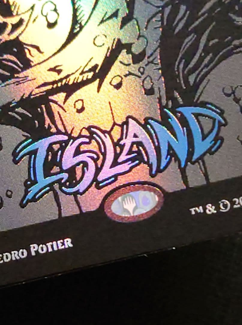 mtg 稀少個体 スパイダーマン レイズドFOIL 基本土地 ５枚セット
