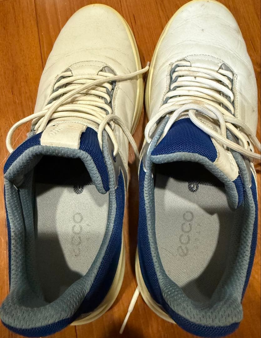 エコー ecco ゴルフシューズ 43 メンズ